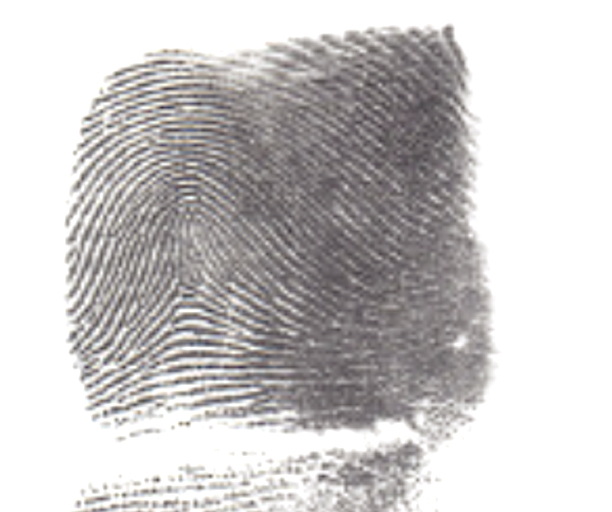 Fingerprint Matching